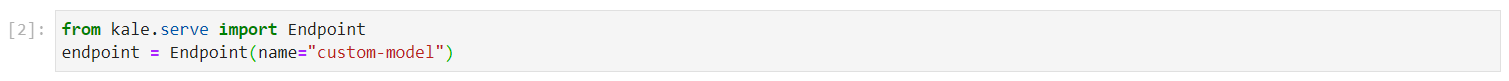 ../../../../_images/custom_model_endpoint.png