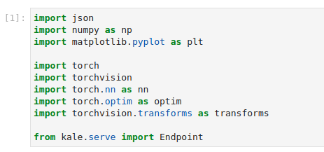 ../../../_images/pytorch-imports.png