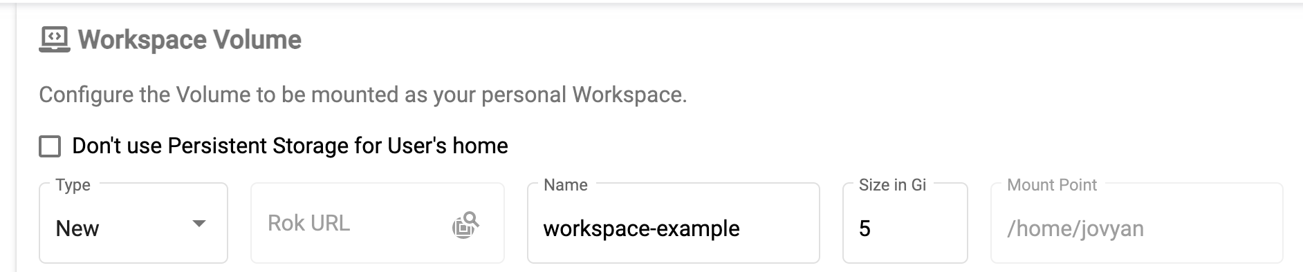 ../_images/default-workspace-volume.png